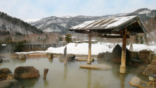 원천 100% 온천과 인도 커리의 기막힌 만남? 호헤이쿄 온천의 매력 철저 분석